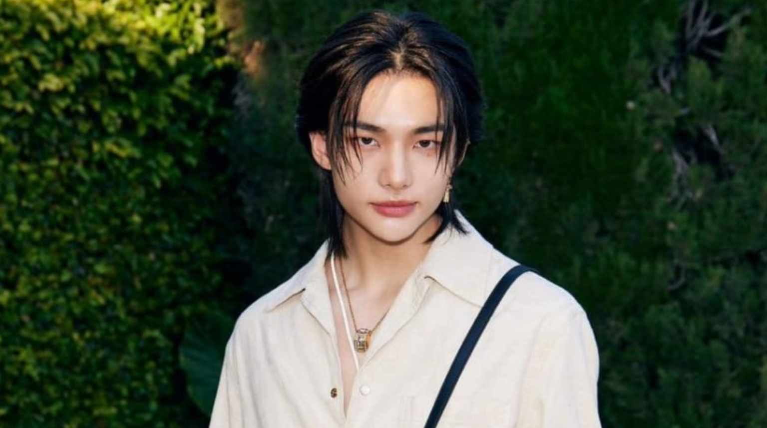 STRAY KIDS Hyunjin Profile, Age, Siblings, Real Name, Net Worth 2024